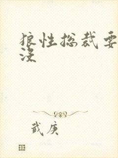 狼性总裁要够了没
