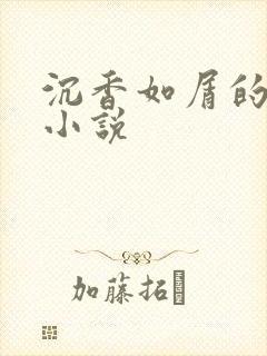 沉香如屑的原著小说