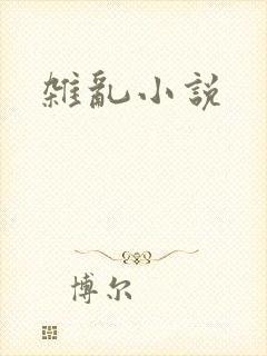 杂乱小说