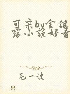 可宋by金银花露小说好看吗