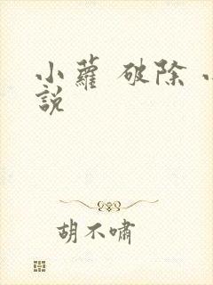 小萝 破除 小说
