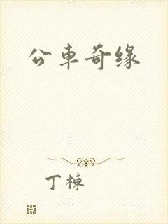 公车奇缘