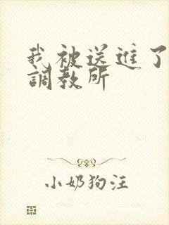 我被送进了私奴调教所