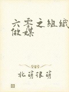 六零之组织给我做媒