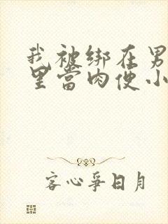 我被绑在男公厕里当肉便小说