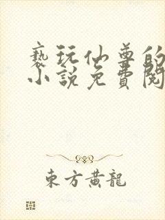 亵玩仙尊的道侣小说免费阅读