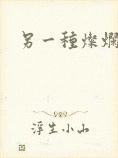 另一种灿烂生活