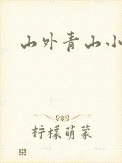 山外青山小说