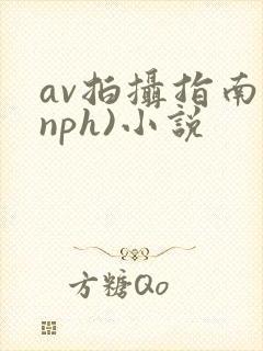 av拍摄指南(nph)小说