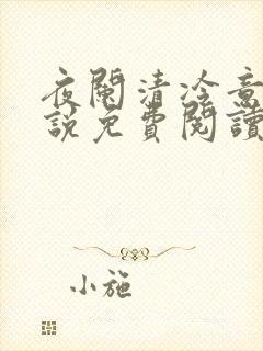 夜阑清冷意欢小说免费阅读
