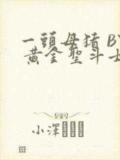 一头母猪 BY 黄金圣斗士