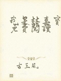 我是林喜宝小说免费阅读