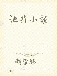 池莉小说