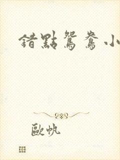 错点鸳鸯小说