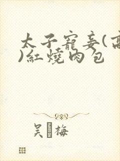 太子宠妾(高肉)红烧肉包