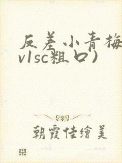 反差小青梅(1v1sc粗口)