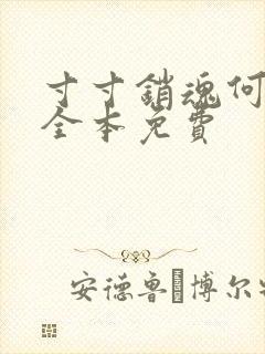 寸寸销魂何生祥全本免费