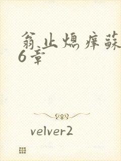 翁止熄痒苏玥第6章