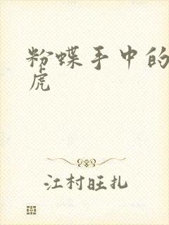 粉蝶手中的纸老虎