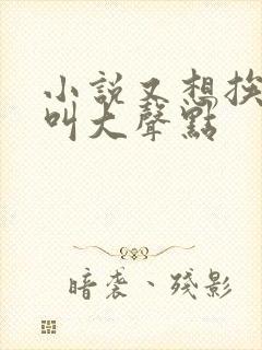 小说又想挨C了叫大声点