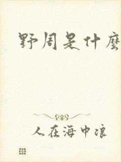 野周是什么意思