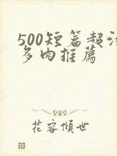 500短篇超污多肉推荐