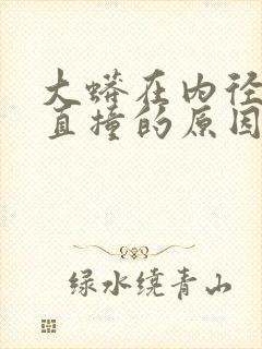 大蟒在内径横冲直撞的原因