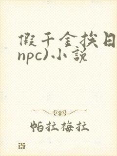 假千金挨日记(npc)小说