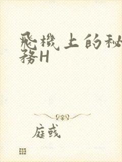 飞机上的秘密服务H