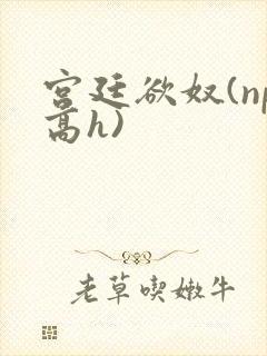 宫廷欲奴(np高h)