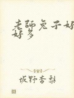 老师兔子好软水好多