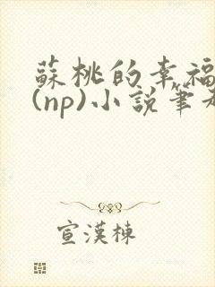 苏桃的幸福生活(np)小说笔趣阁沐沐