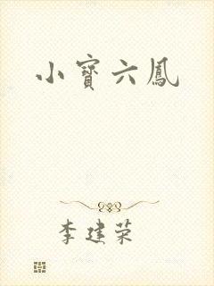 小宝六凤