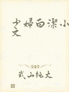 少妇白洁小说全文