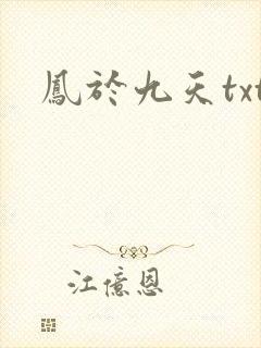 凤于九天txt