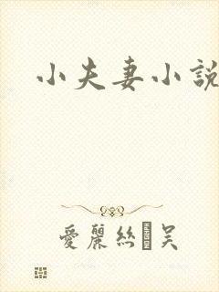 小夫妻小说