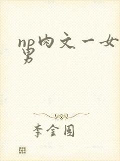 np肉文一女多男