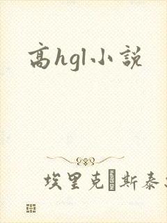 高hgl小说