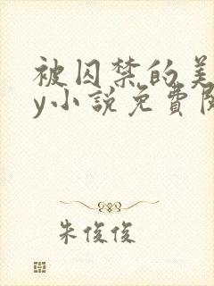 被囚禁的美人by小说免费阅读