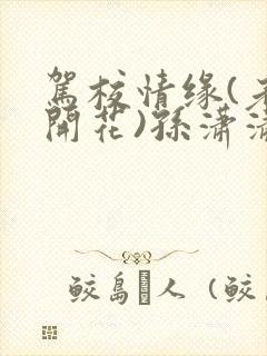 驾校情缘(老树开花)孙潇潇笔趣阁