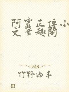 阿宾正传小说全文笔趣阁