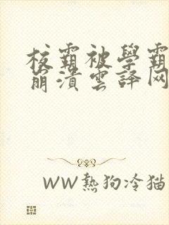 校霸被学霸玩到崩溃云译网