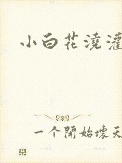 小白花浇灌日常