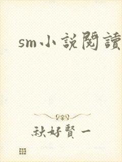 sm小说阅读