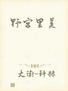 野宫里美