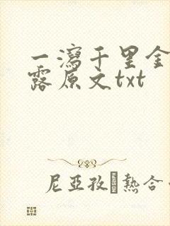 一泻千里金银花露原文txt