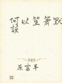 何以笙箫默 小说