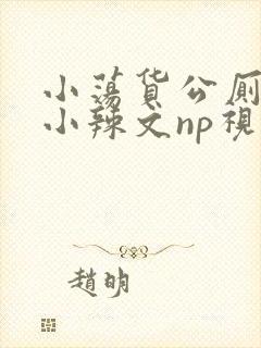 小荡货公厕h文小辣文np视频