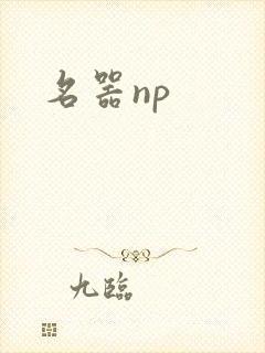 名器np