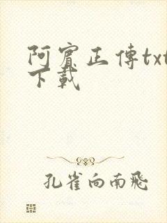 阿宾正传txt下载